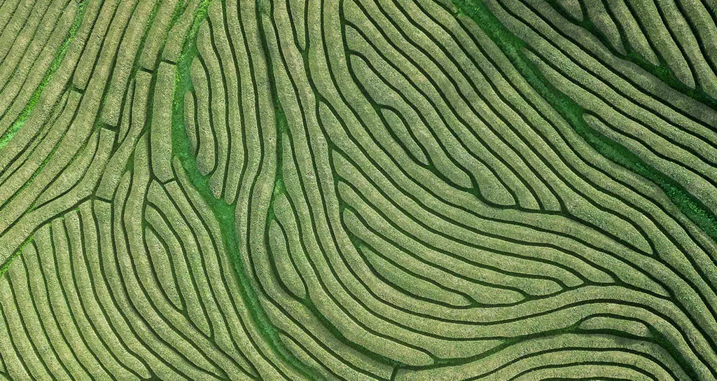 未経験者向け研修プログラム