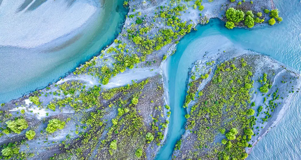 AI時代の外資系会計業務