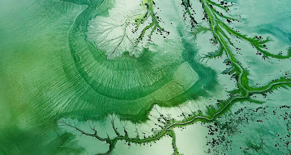 社会保険・労働保険手続きのイメージ